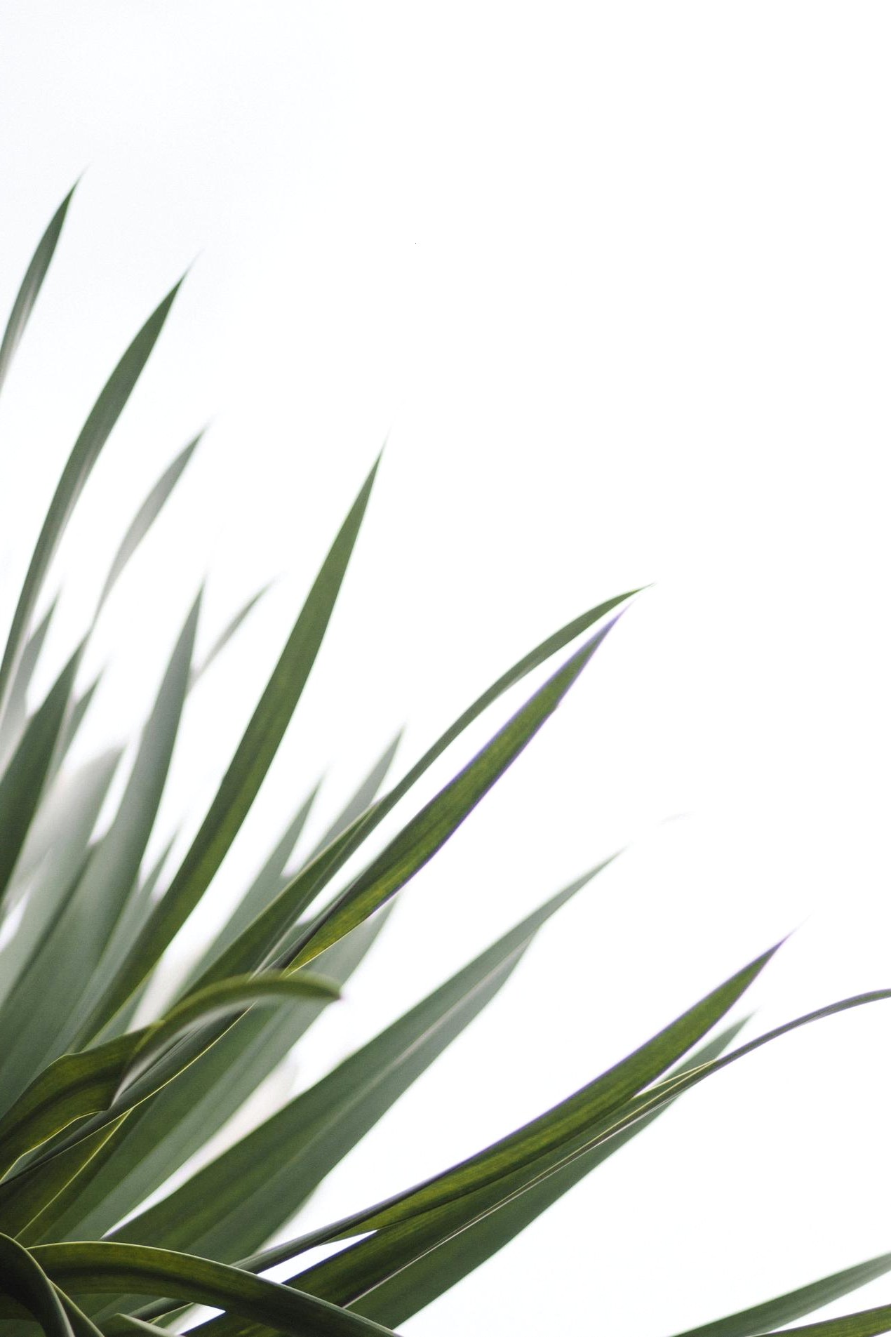 Prototipo comunicación