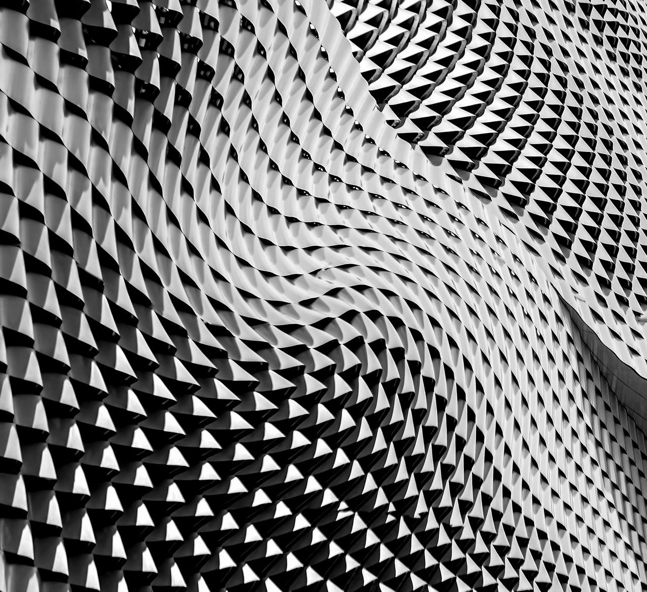 Programa inclusión digital